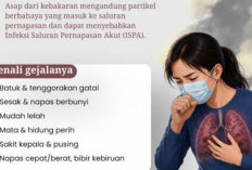 Waspada! 5 Bahaya Kabut Asap Karhutla bagi Kesehatan, Bisa Ganggu Paru-paru hingga Jantung