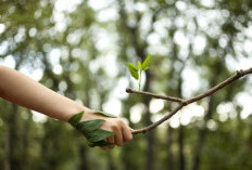 Kenali Grounding, Kegiatan Menghubungkan Diri dengan Alam yang Punya Sejuta Manfaat Kesehatan 