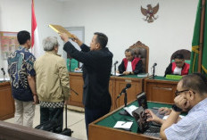 Karhutla PT Bintang Harapan Palma Dinilai Sebabkan Kerusakan Serius Terhadap Lingkungan dan Makhluk Hidup