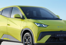 Mobil Listrik BYD Atto 1 Unggulkan Fitur Modern dan Dilengkapi 6 Airbag, Harga Terjangkau!