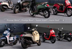 Update Harga Honda Scoopy Seken di Januari 2026: Skutik Redro Modern  dengan Tampang Imut yang Kian Terjangkau