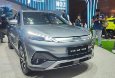 BYD Atto 3 Terbaru Meluncur, Jarak Tempuh Lebih Jauh dengan Isi Daya Kilat, Ini Spesifikasinya