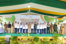 Panen Raya Hasil Padi Kalium Humat Bukti Hilirisasi Batubara Dukung Ketahanan Pangan Nasional