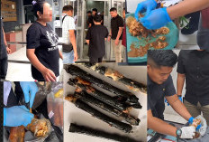 Viral, Narkoba Dalam Gulai Ayam Digagalkan Petugas Lapas Karawang