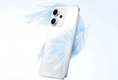 Resmi Oppo Reno 14 Hadir di Pasar Global Per Juli 2025: HP RAM Besar 12GB, Ini Spesifikasinya