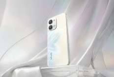 Vivo Y31d Pro Jadi Penantang Baru, Andalkan Fitur Lengkap Selain Baterai Jumbo 