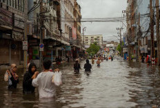 Banjir Kepung Thailand, Buaya-Ular Bermunculan
