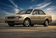 Top 5 Sedan Tua Cocok Buat Pemula, Nomor 3 Eks Taxi Yang Dikenal ‘Badak’ Super Tangguh 