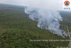 Terpantau Hari Ini 5 Hektar Lahan di Cengal OKI Terbakar