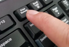 INI 4 Cara SS di Laptop Hanya Bagian Tertentu, Praktis Tanpa Aplikasi Tambahan