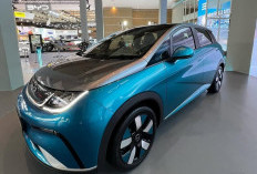  Mobil Listrik Murah Terlaris, BYD Dolphin Surf Seagull Capai 1 Juta Unit Penjualan, Kini Tambah Jarak Tempuh