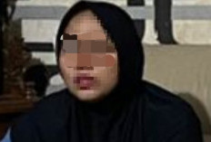 Bisnis Ayam IRT di Palembang Sampai Tertipu Rp1 Miliar Lebih, Dijanjikan Untung Rp750 Ribu per Hari 