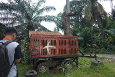 Blank Spot di Desa Kuripan Kini Teratasi, BTS Telkomsel Beroperasi