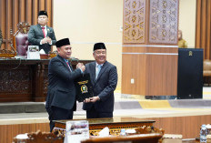 Wagub Cik Ujang Tegaskan Komitmen Pemprov Sumsel Wujudkan Raperda Responsif Gender dan Anak