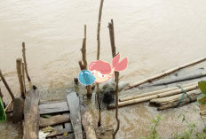 BREAKING NEWS! Penemuan Mayat Mengapung di Aliran Sungai Dekat Jerambah Setan Ogan Ilir