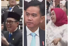 Momen Wapres Gibran Melongo Saat Saksikan Anggota DPR RI Berjoget Gembira Usai Gaji Naik Rp 3 Juta Per Hari