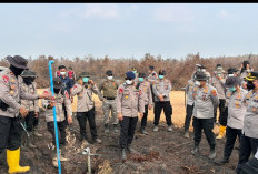 Begini Cara Polda Sumsel Gunakan X-Fire untuk Atasi Karhutla di Lahan Gambut Teluk Limau Muaraenim