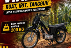 Partner Kerja di Kebun Terbukti Nyaman, VIAR R2K Kuat 200 Kg Angkut Hasil Panen