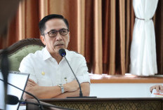 Pohon Tumbang di Palembang Telan Korban, Ratu Dewa Nyatakan Duka Mendalam, Wanti-wanti OPD Terkait