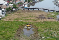 Alat Berat PUPR OKI Diturunkan Bersihkan Gulma di Jembatan Belanti