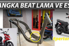 Begini Cara Membedakan Rangka eSAF Honda yang Sudah Diperkuat dan Versi Lama, Cek Motor Kamu!