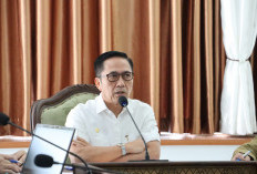 Ratu Dewa: Ekonomi Palembang Naik Jadi 5,91 Persen, 4 Sektor Unggulan Jadi Penopang