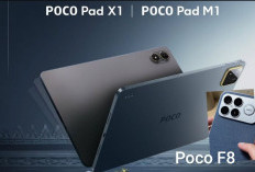 Tak Hanya Smartphone, Poco Rilis Pad X1 dan Pad M1 di Acara F8 Series di Bali, Inilah Spesifikasinya