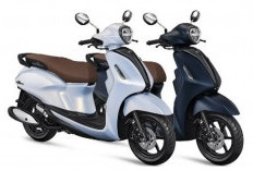 Jangan Keliru! Ini 5 Perbedaan Filano Lux dan Neo Sebelum Kamu Beli