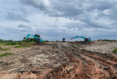 Polda Sumsel Tindak Tambang Ilegal di Banyuasin, Lima Alat Berat Disita