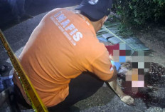 Penemuan Jasad Wanita Tergeletak di Pinggir Jalan Desa Sungai Rasau Pemulutan, Polres Ogan Ilir Selidiki