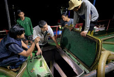 Polda Sumsel Ungkap Dugaan Mafia BBM, Dua Kapal Ditangkap di Sungai Musi