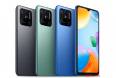 7 HP Xiaomi harga 2 jutaan dengan kamera cantik, Cocok Buat Pecinta Foto!