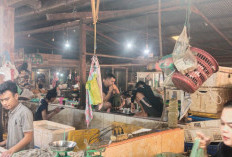 Asyiknya 2 Pedagang Ikan ini Bermain Catur usai Dagangannya Laku