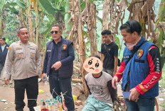 Sarang Narkoba di Sekonjing Ogan Ilir Ditertibkan, Ratusan Personel Polda Sumsel Hanya Amankan 2 Orang