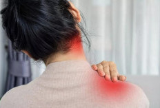 Ampuh Turunkan Kolesterol Usai Lebaran, Konsumsi 7 Makanan Berikut 