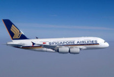 Penumpang Ngamuk, Maskapai Singapore Airlines Mengudara 9 Jam Kembali ke San Francisco