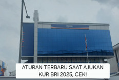 KUR BRI 2025 Kenakan Aturan Terbaru untuk Pinjaman Rp50juta, Apa itu?