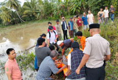 Penemuan Mayat di Sukaraja Baru Ogan Ilir, Ternyata Kakek Viral yang Cari Anaknya ke Wilayah Tanjung Batu