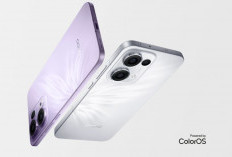Oppo Reno14 Tampil di GeekBench Usung Dimensity 8400 dan Android 15 dengan Bawa RAM 12GB 