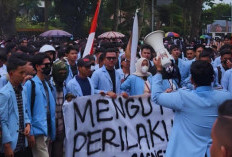 Paradoks Partai Politik dalam Sistem Presidensial Indonesia: Penggerak Demokrasi atau Sumber Krisis?