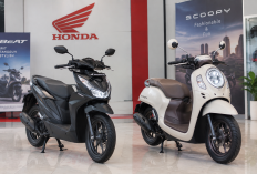 Honda BeAT dan Honda Scoopy Jadi Pilihan Motor Honda untuk Pengendara Bertubuh Pendek, Ini Spesifikasinya