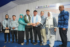 Perkuat Ketahanan Pangan, PTBA Hadirkan Dua PLTS Irigasi untuk Petani Muara Enim