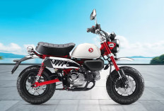 Honda Monkey: Motor Retro Klasik dengan Fitur Kekinian