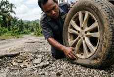 Ban Mobil Benjol Setelah Hantam Lubang? Segini Update Harga Ban Ring 14–16 Maret 2026 yang Perlu Disiapkan