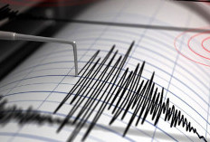 Gempa Landa Laut Mbay Negekeo NTT, BMKG Keluarkan Peringatan Tsunami di 3 Provinsi