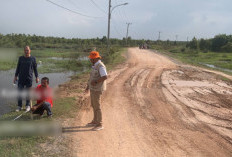 Akses Jalan Pulu Beruang - Petaling Rusak Akibat Banjir, Tim BPBD OKI Turun 