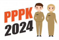 Wajib Tahu! SK Honorer Belum 2 Tahun Tak Diangkat PPPK Paruh Waktu, BKN Sarankan Ini