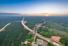 Konstruksi Tol Palembang-Betung 3 Mainroad Capai 50,16 Persen, Gunakan Sistem Khusus Jamin Stabilitas Struktur