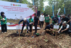 Tanaman Bambu dan Jelutung Ditanam BPGMN di Bonn Chalenge Kayuagung