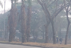 Kualitas Udara Sumatera Pagi Ini, 27 September 2026: Palembang Berbahaya, Jambi Memburuk, Bengkulu Sedang